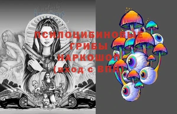 крисы Михайлов