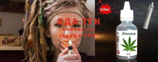 СК Инта