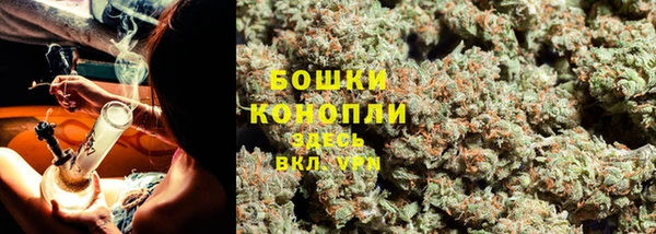 крисы Михайлов