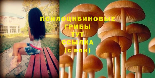 соль ск Бугульма
