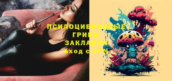 крисы Михайлов
